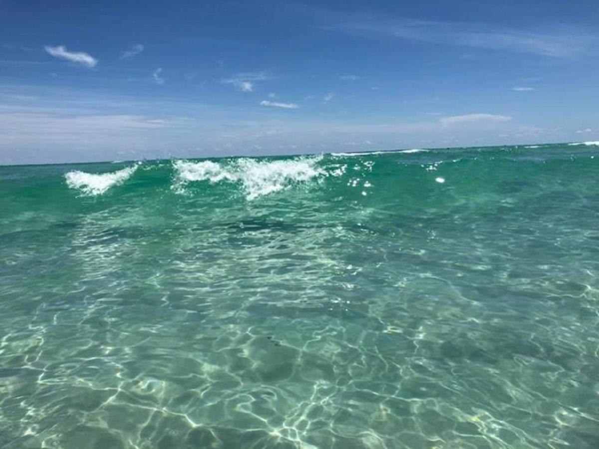 Pag Beachhouse Rentals St. Pete Beach Exteriör bild