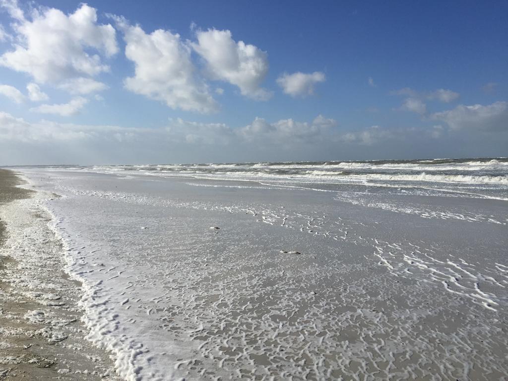 Pag Beachhouse Rentals St. Pete Beach Exteriör bild