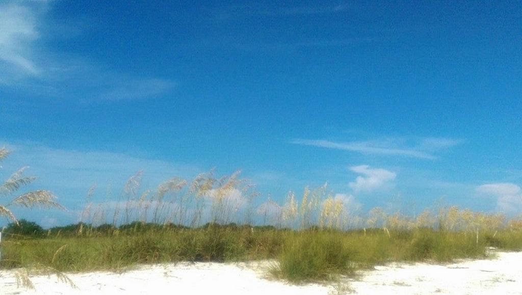 Pag Beachhouse Rentals St. Pete Beach Exteriör bild