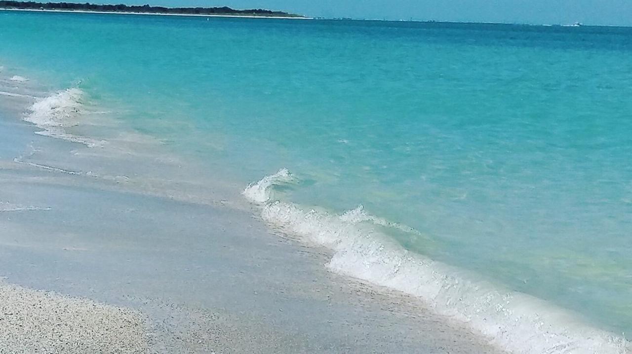 Pag Beachhouse Rentals St. Pete Beach Exteriör bild