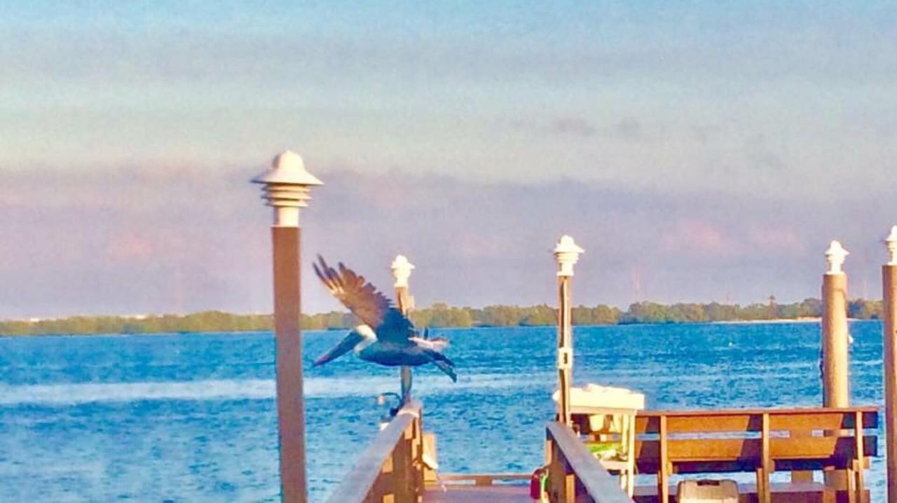 Pag Beachhouse Rentals St. Pete Beach Exteriör bild